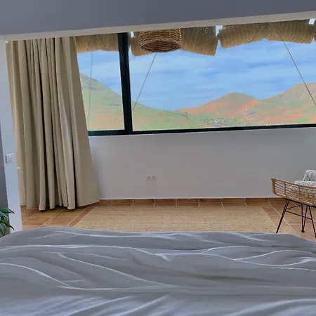 El Pedregal - Aloe *