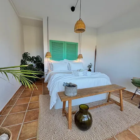 El Pedregal - Aloe *