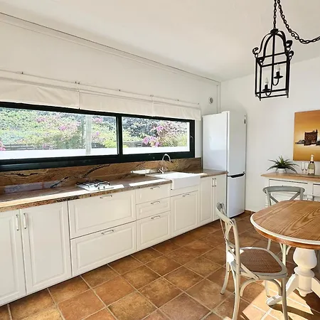 El Pedregal - Aloe * Haría