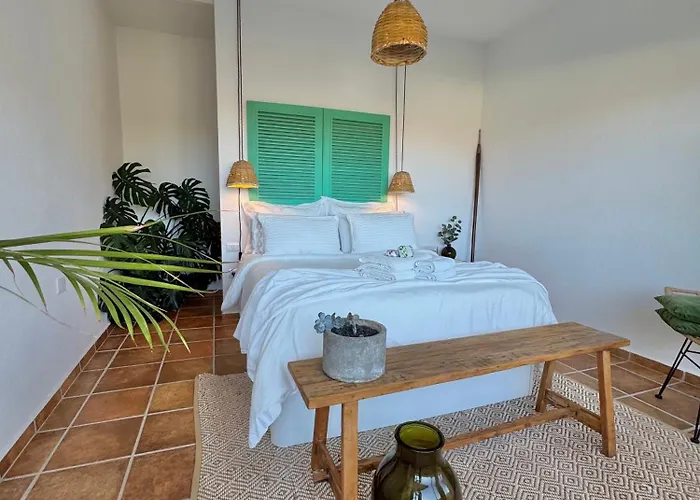 El Pedregal - Aloe *