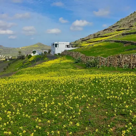 El Pedregal - Aloe Haría