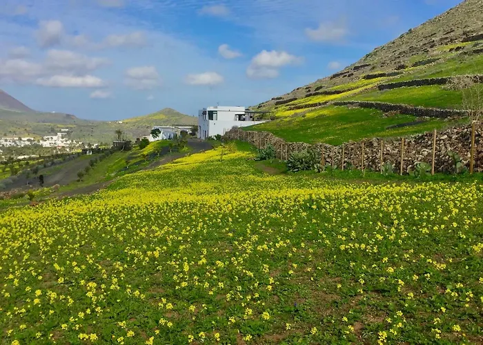 El Pedregal - Aloe Haría