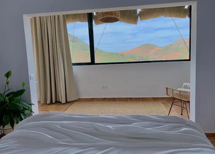 El Pedregal - Aloe *