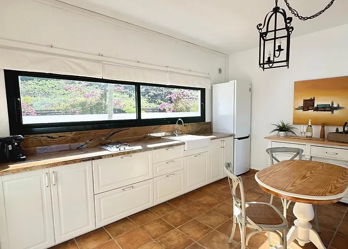 El Pedregal - Aloe * Haría